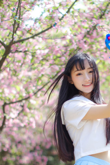 亚飞与亚基